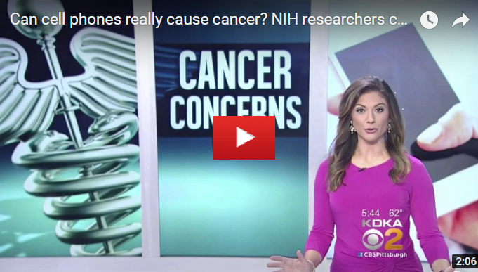 Can mobile phone cause cancer?
