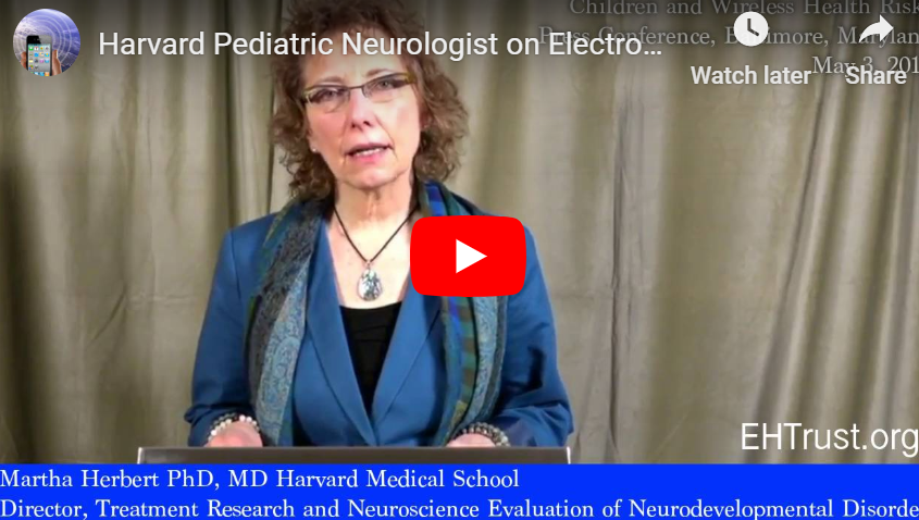 EMF and Autism - Dr. Martha Herbert (Harvard Pediatric Neurologist)